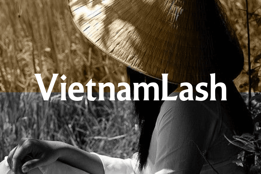 vietnamlash-brand-identity